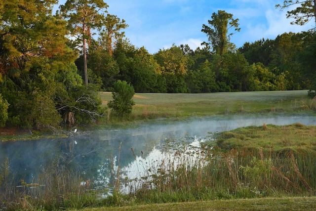 1804 Prestwick Pl Unit 1804, Saint Augustine, FL 32086 - view of water feature featuring a view of trees