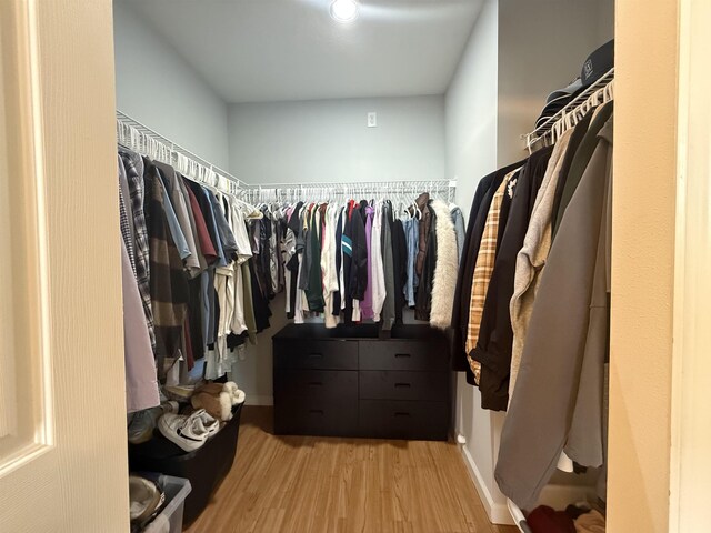 1804 Prestwick Pl Unit 1804, Saint Augustine, FL 32086 - spacious closet featuring light wood finished floors