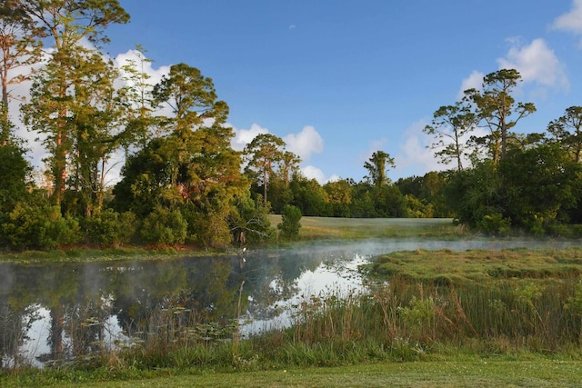 1804 Prestwick Pl Unit 1804, Saint Augustine, FL 32086 - water view with a wooded view