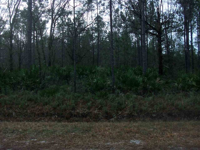 4550 Benedict St, Hastings, FL 32145