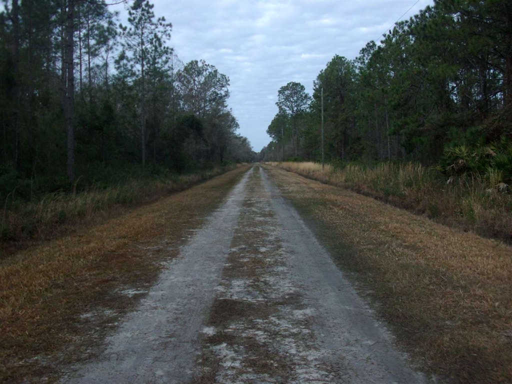 4550 Benedict St, Hastings, FL 32145