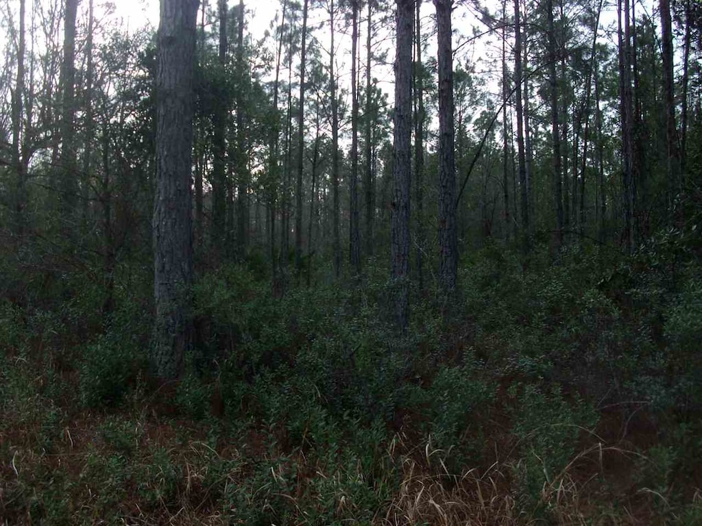 4550 Benedict St, Hastings, FL 32145