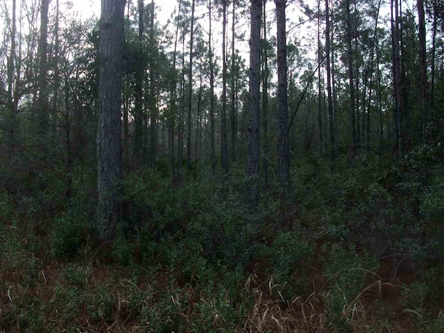 4550 Benedict St, Hastings, FL 32145