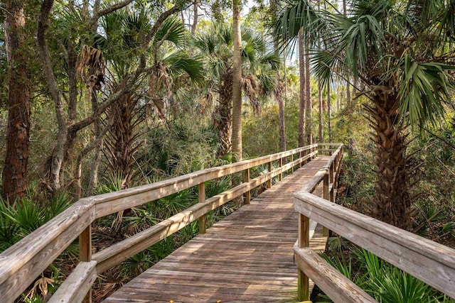 200 Manuel Ct, Saint Augustine, FL 32095 - view of home's community