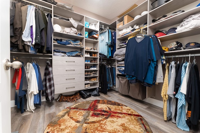 spacious closet featuring hardwood / wood-style floors