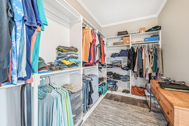 4954 A1A, Saint Augustine, FL 32080 - walk in closet with wood finished floors