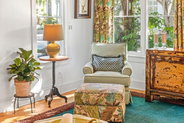 sitting room featuring hardwood / wood-style floors