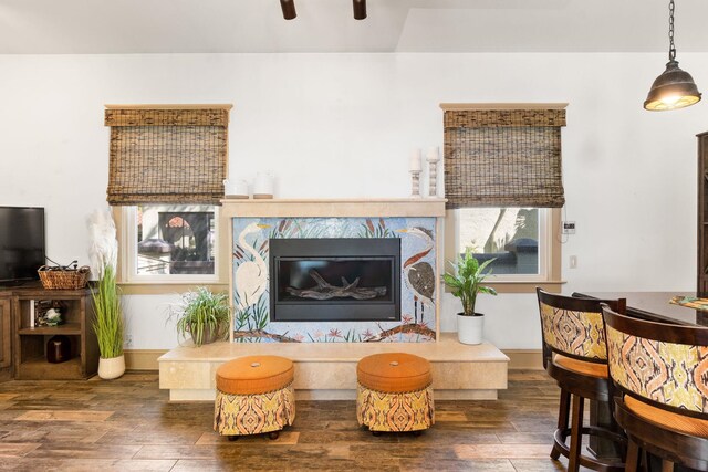 living room featuring a fireplace and dark hardwood / wood-style flooring