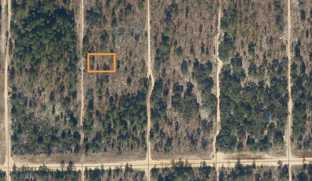 214 Flamingo Dr, Interlachen FL, 32148 land for sale