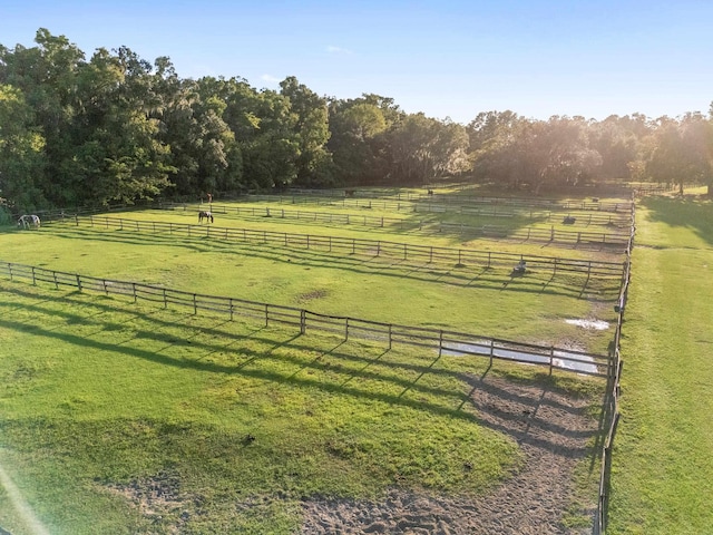 view of yard featuring a rural view