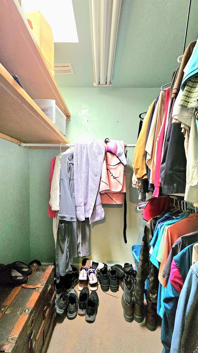 walk in closet featuring carpet flooring