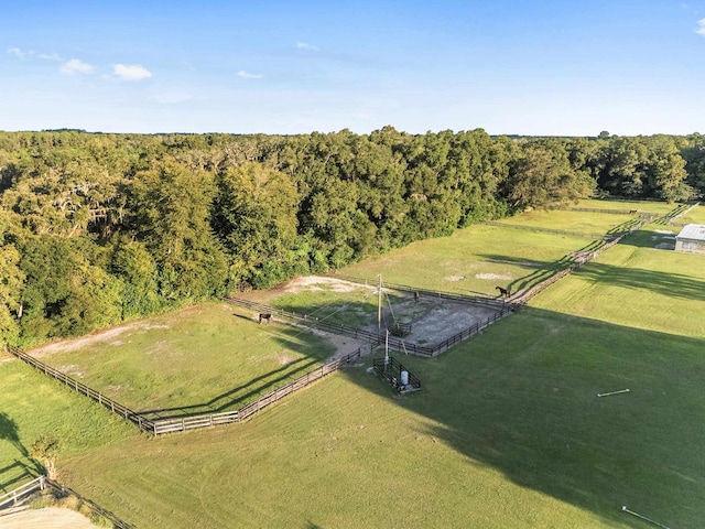 16525 SW 5th Pl, Newberry, FL 32669 - photo 41