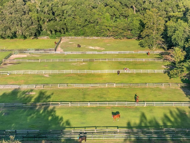 bird's eye view featuring a rural view