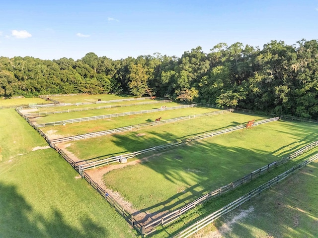 drone / aerial view featuring a rural view