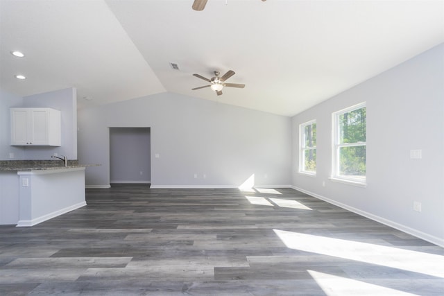 unfurnished living room with sink, dark wood-type flooring, and vaulted ceiling