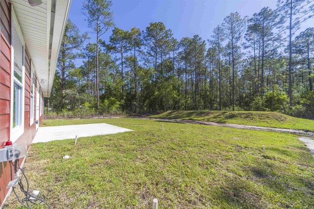 10690 Carpenter Ave, Hastings, FL 32145 - view of green lawn with a patio