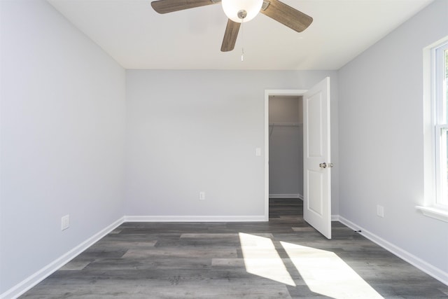 unfurnished bedroom featuring a walk in closet, a closet, ceiling fan, and dark wood-type flooring