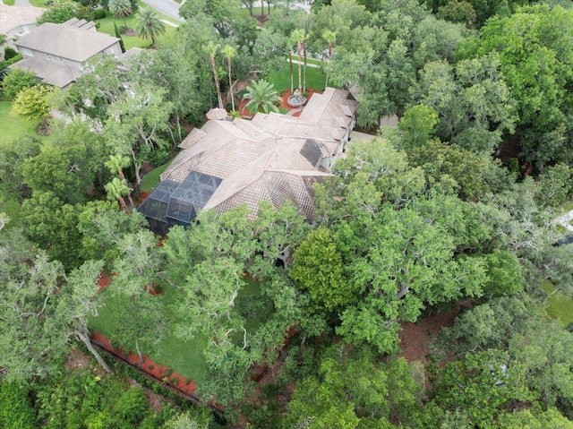 117 Hickory Hill Dr, Saint Augustine, FL 32095 - photo 85
