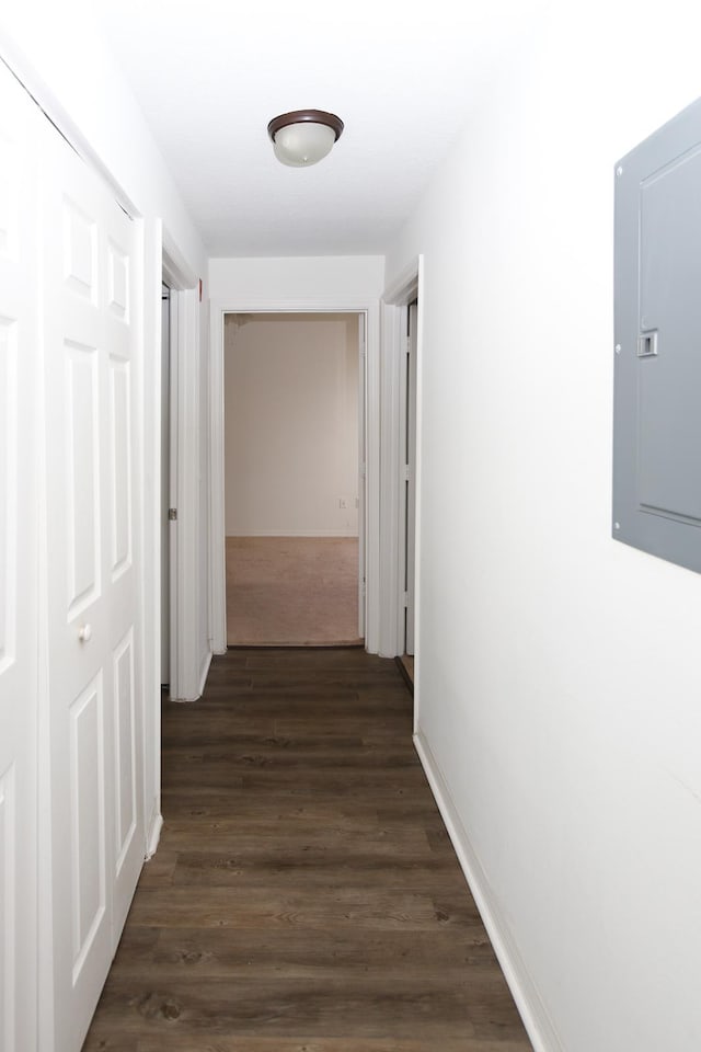 corridor featuring electric panel and dark wood-type flooring