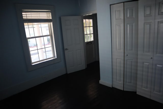 foyer featuring dark hardwood / wood-style floors and a wealth of natural light