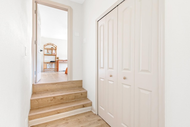 stairway with wood-type flooring