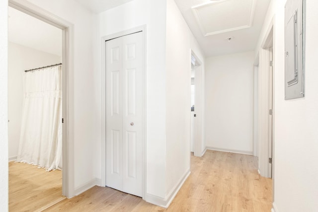 corridor featuring electric panel and light hardwood / wood-style flooring