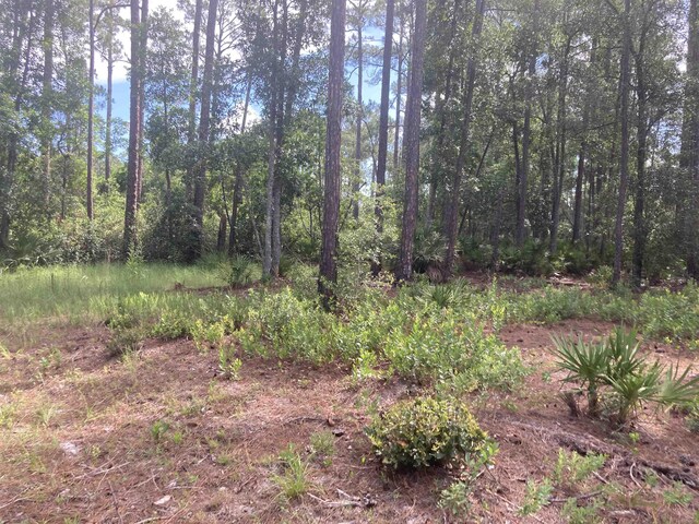 160 Edgemere Dr, Georgetown, FL 32139 - photo 4