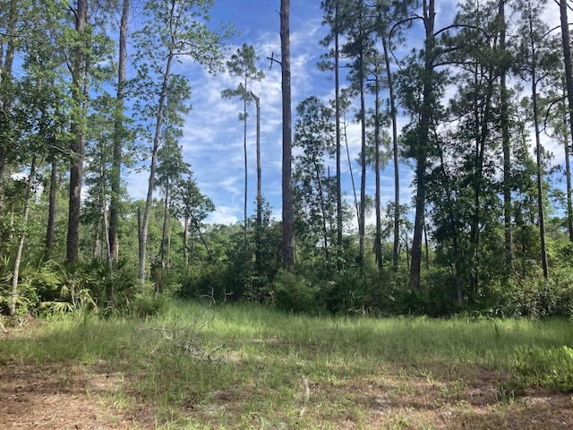160 Edgemere Dr, Georgetown, FL 32139 - photo 7