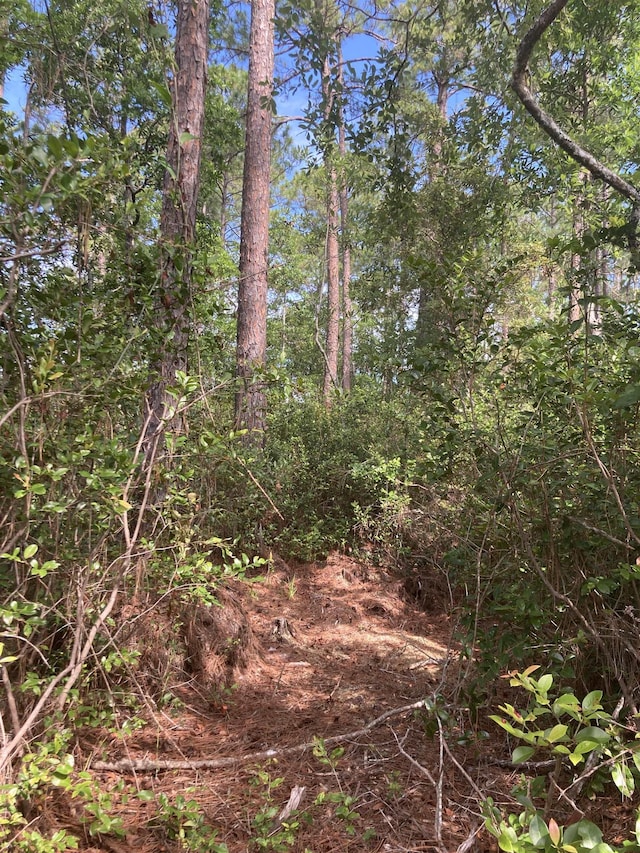 160 Edgemere Dr, Georgetown, FL 32139 - photo 6