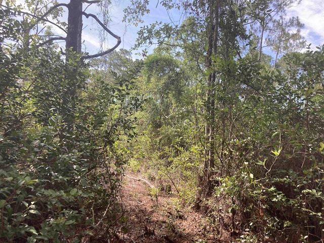 160 Edgemere Dr, Georgetown, FL 32139 - photo 5