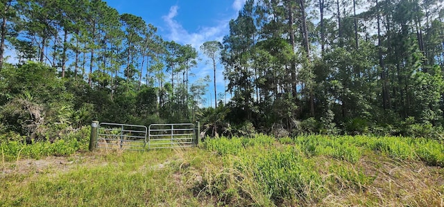 160 Edgemere Dr, Georgetown, FL 32139 - photo 3