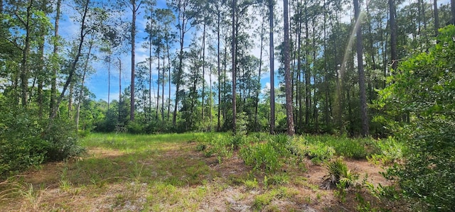 160 Edgemere Dr, Georgetown, FL 32139 - photo 2