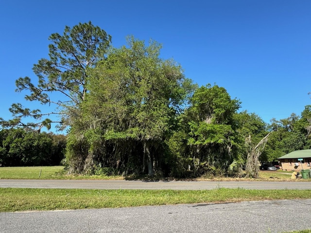 167 Putnam County Blvd, East Palatka FL, 32131 land for sale