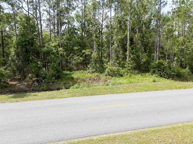 4525 Cedar Ford Blvd, Hastings, FL 32145 - photo 5