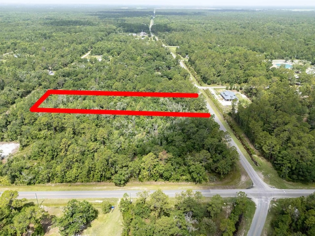 4525 Cedar Ford Blvd, Hastings, FL 32145 - photo 2