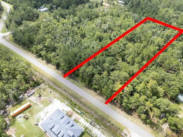 4525 Cedar Ford Blvd, Hastings, FL 32145 - photo 1