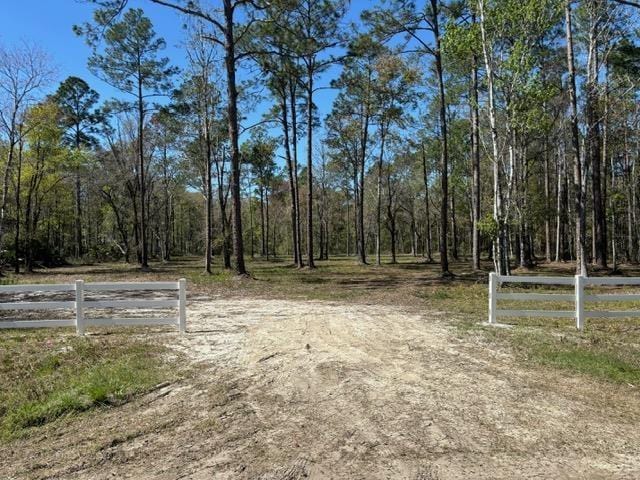 10115 Weatherby Ave, Hastings FL, 32145 land for sale