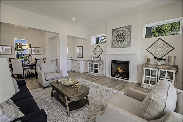 living room with hardwood / wood-style flooring