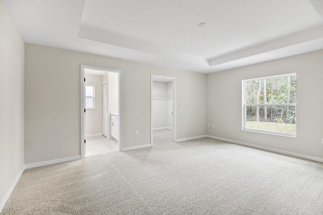 unfurnished room featuring light colored carpet and a tray ceiling