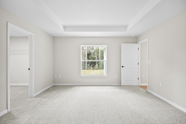 empty room with light colored carpet and a raised ceiling