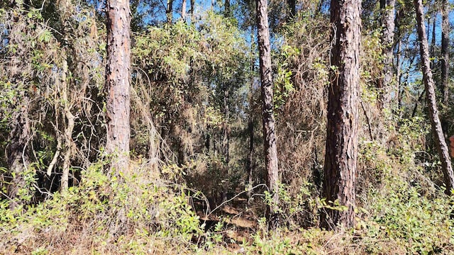 00 Martha Dr, Interlachen FL, 32148 land for sale