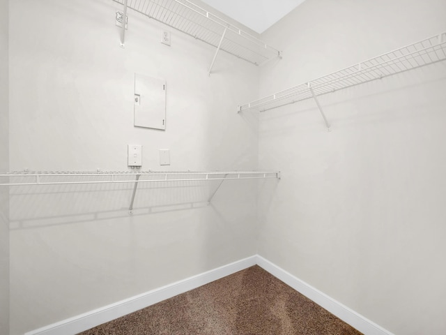 150 Pantano Cay Blvd Unit 2303, Saint Augustine, FL 32080 - walk in closet featuring carpet flooring and electric panel