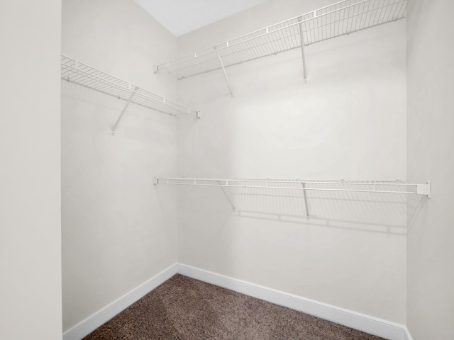 150 Pantano Cay Blvd Unit 2303, Saint Augustine, FL 32080 - walk in closet with dark colored carpet