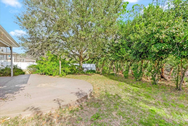 view of yard with a patio