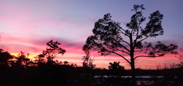 130 Old Town Pkwy Unit 2308, Saint Augustine, FL 32084 - photo 15