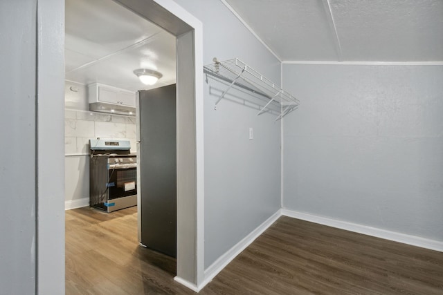 walk in closet with hardwood / wood-style floors