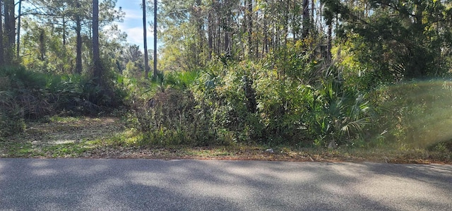 817 W 6th St, Saint Augustine FL, 32084 land for sale