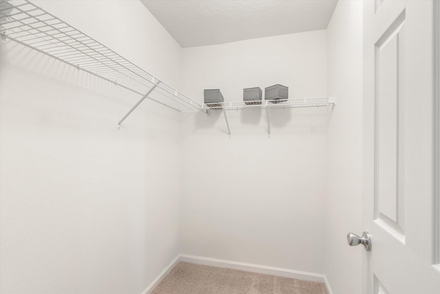 spacious closet with carpet