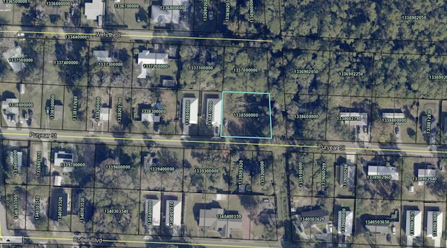 0 Puryear St, Saint Augustine FL, 32084 land for sale