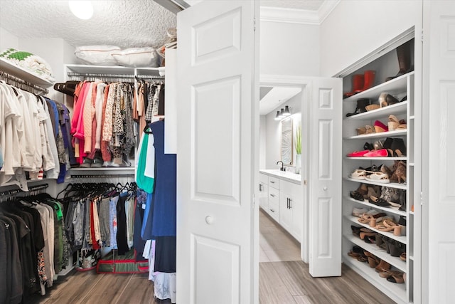 spacious closet with a sink and wood finished floors